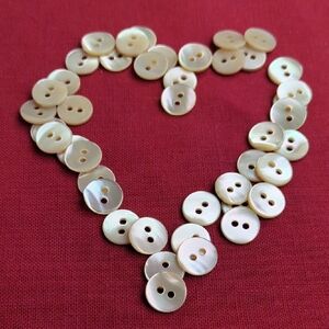 Trochus Shell Buttons 11 mm Diameter